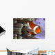Clown Anemonefish Indonesia Wall Decal Design 2