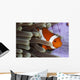 Clown Anemonefish Indonesia Wall Decal Design 2