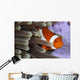 Clown Anemonefish Indonesia Wall Decal Design 2