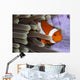Clown Anemonefish Indonesia Wall Decal Design 2