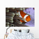 Clown Anemonefish Indonesia Wall Decal Design 2