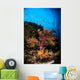 Soft Coral Seascape Fiji Wall Decal Design 2