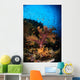 Soft Coral Seascape Fiji Wall Decal Design 2