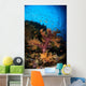 Soft Coral Seascape Fiji Wall Decal Design 2