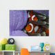 Pair Clown Anemonefish Indonesia Wall Decal