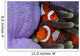 Pair Clown Anemonefish Indonesia Wall Decal