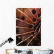 Fin Scorpionfish Indonesia Wall Decal