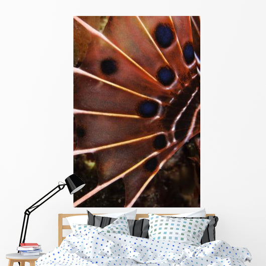 Fin Scorpionfish Indonesia Wall Decal