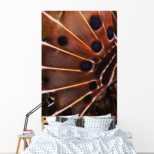 Fin Scorpionfish Indonesia Wall Decal