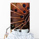 Fin Scorpionfish Indonesia Wall Decal