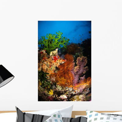 Hard Coral and Soft Wall Decal shown on a wall