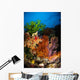 Hard Coral and Soft Wall Decal