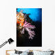Soft Coral Seascape Fiji Wall Decal Design 1