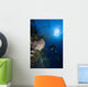 Barrel Sponge and Diver Wall Decal