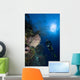 Barrel Sponge and Diver Wall Decal