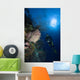 Barrel Sponge and Diver Wall Decal