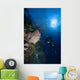 Barrel Sponge and Diver Wall Decal