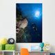 Barrel Sponge and Diver Wall Decal