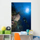 Barrel Sponge and Diver Wall Decal