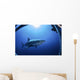 Great White Shark Guadalupe Wall Decal Design 2