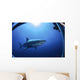Great White Shark Guadalupe Wall Decal Design 2