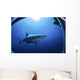 Great White Shark Guadalupe Wall Decal Design 2