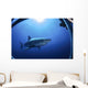 Great White Shark Guadalupe Wall Decal Design 2