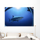 Great White Shark Guadalupe Wall Decal Design 2