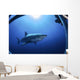 Great White Shark Guadalupe Wall Decal Design 2