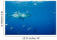 Male Great White Shark Wall Decal Design 8