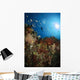 Diver over Reef Seascape Wall Decal
