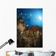 Diver over Reef Seascape Wall Decal