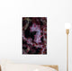 Pygmy Seahorse Australia Wall Decal