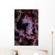 Pygmy Seahorse Australia Wall Decal