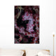 Pygmy Seahorse Australia Wall Decal