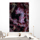 Pygmy Seahorse Australia Wall Decal