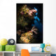 Diver Soft Coral Seascape Wall Decal