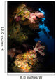 Diver Soft Coral Seascape Wall Decal