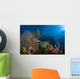 Trumpetfish Belize Wall Decal