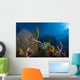 Trumpetfish Belize Wall Decal