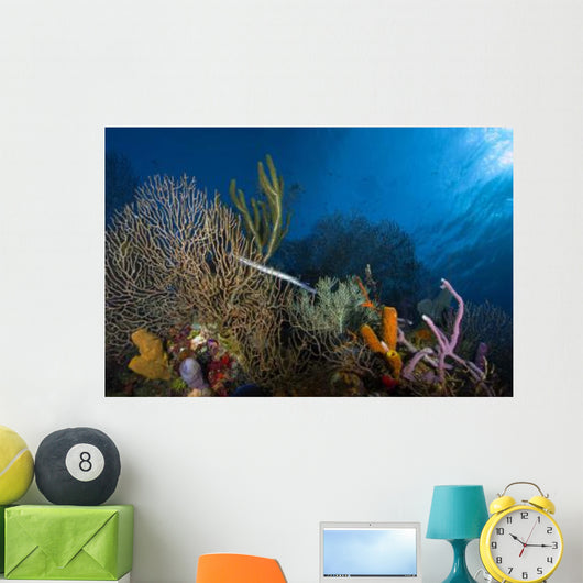 Trumpetfish Belize Wall Decal