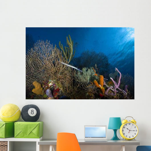Trumpetfish Belize Wall Decal