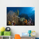 Trumpetfish Belize Wall Decal