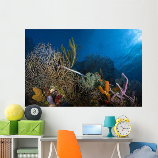 Trumpetfish Belize Wall Decal