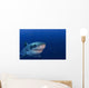 Great White Shark Guadalupe Wall Decal Design 1