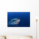 Great White Shark Guadalupe Wall Decal Design 1