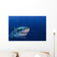 Great White Shark Guadalupe Wall Decal Design 1