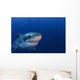 Great White Shark Guadalupe Wall Decal Design 1