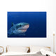 Great White Shark Guadalupe Wall Decal Design 1