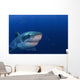 Great White Shark Guadalupe Wall Decal Design 1